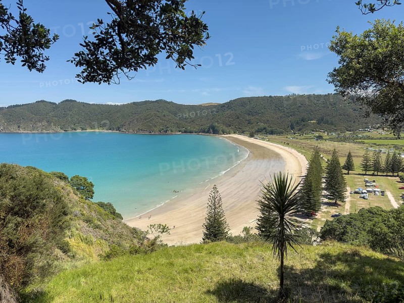 Picturesque coastal landscape with sandy beach and turquoise sea, surrounded by lush vegetation under a clear sky with a view of Matauri Bay Beach, North Island, New Zealand, Oceania