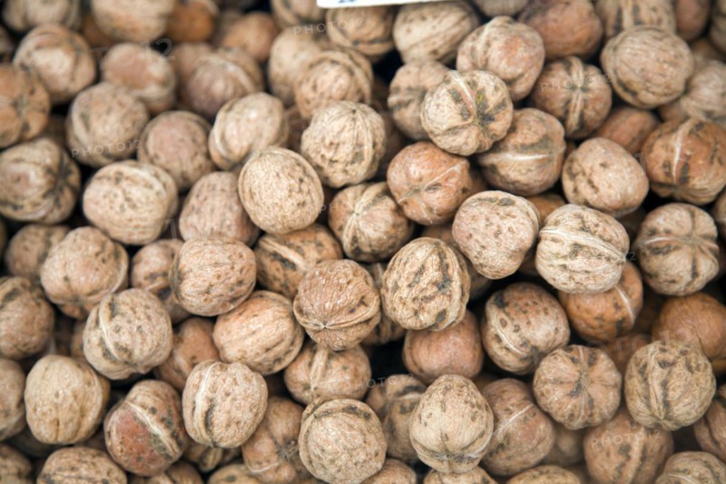 Close up of walnuts looking down