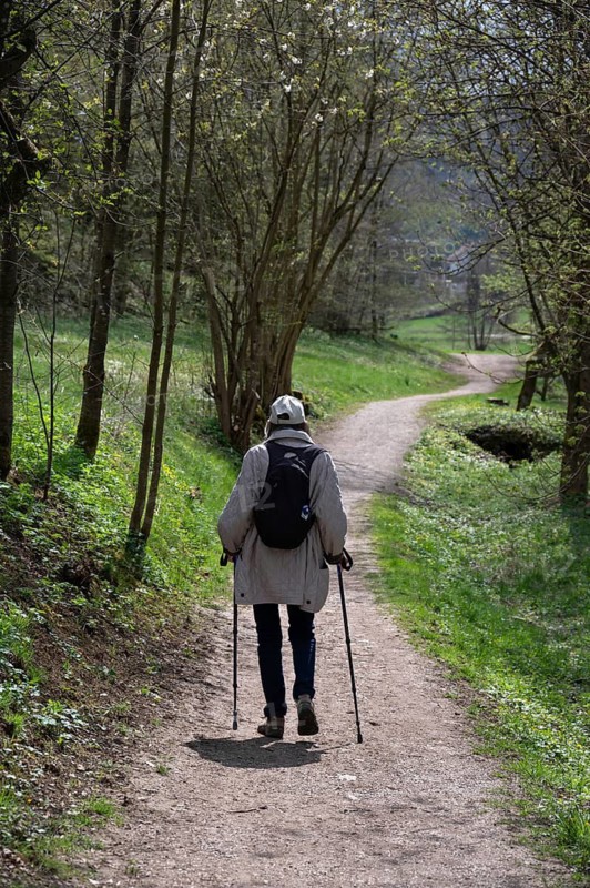 Elderly woman hiking with sticks through the Trubach Valley, Egloffstein, Upper Franconia, Bavaria, Germany