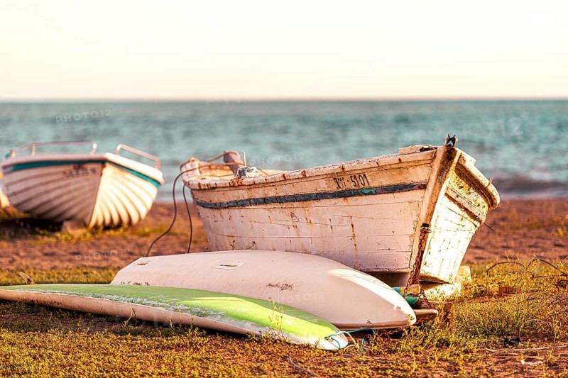 Two boats on the green shore in the warm light of the sunset