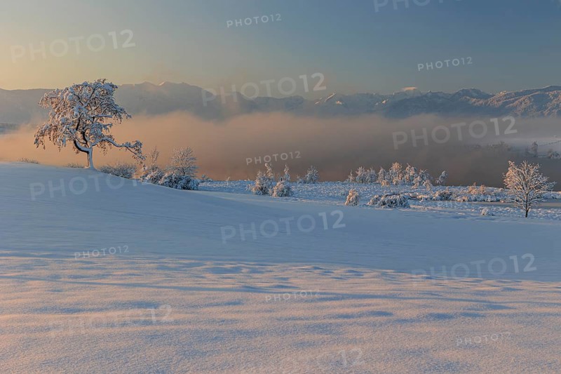 Lake in front of mountains in the morning light, fog, snow, winter, Riegsee, view of Zugspitze, Alpine foothills, Upper Bavaria, Bavaria, Germany