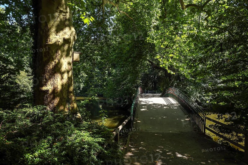 Dortmund, North Rhine-Westphalia, Germany - Rombergpark. Walkway over a bridge in the Rombergpark botanical garden