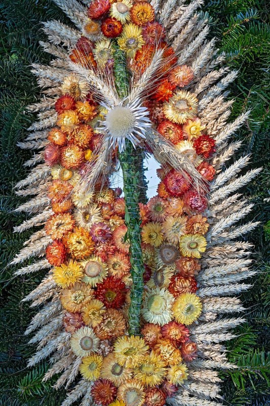 Headdress of cows for the cattle drive, Marterer-farmer in Schwaz, Schwaz, Tyrol, Austria