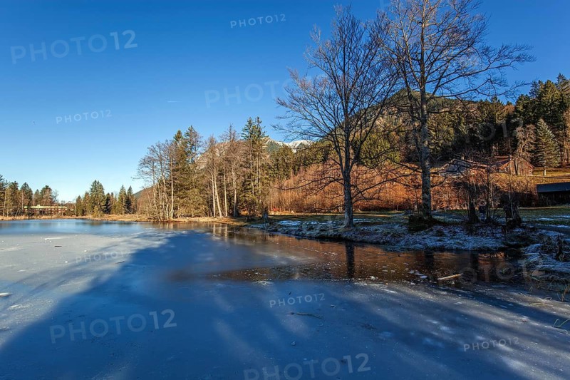 Moor, moor pond, icy, winter, behind Allgäu Alps, Oberstdorf, Oberallgäu, Allgäu, Bavaria, Germany