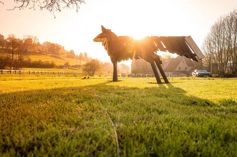 Wooden fox sculpture in the morning sun in a meadow with shade, Dachtel, Aidlingen, Heckengäu region, Germany