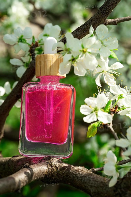 Pink oil or serum for face or hair with natural flower extract, presented in a clear glass bottle with a dropper. Perfectly placed on a blooming tree branch