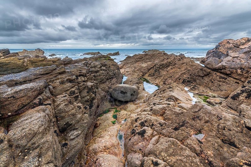 Rocks covered with shells on the Atlantic coast. Sables d'Olonne, Vendee France