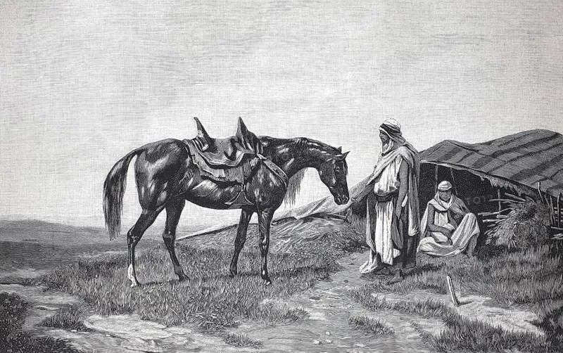 In front of a Bedouin tent, Bedouin with his Arabian horse, 1898, Morocco, Reproduction of an original, c. 1900, historical, Two men in traditional dress stand next to a saddled horse in front of a tent in a desert landscape