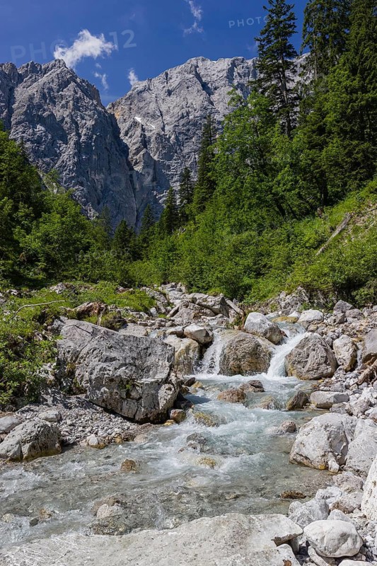 Enger Grund Creek in the Nature conservancy area Grosser Ahornboden. Sycamore maple trees, Acer pseudoplatanus, in summer. Karwendel mountains in the background. Austria
