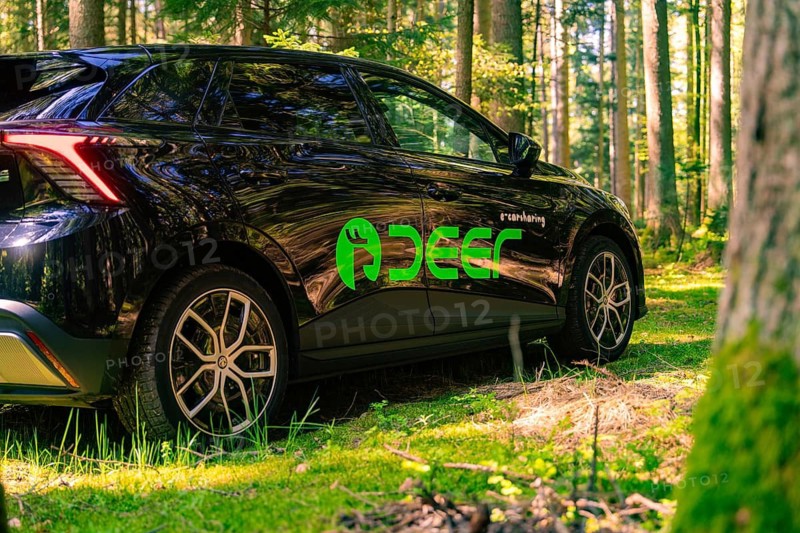 Side view of a black car in the sunlit forest, Deer E- Carsharing, Calw, Black Forest, Germany