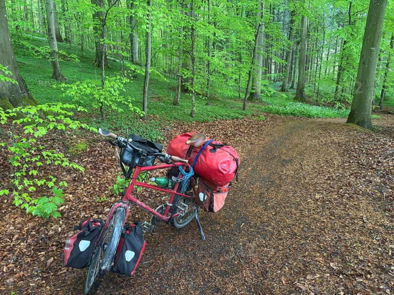 A loaded bicycle is parked on a forest path full of leaves under the green trees of the forest, bicycle trips, Bornholm, Denmark