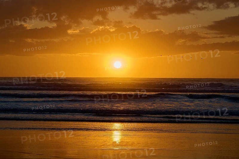 Intense sunrise over the ocean with deep colours and soft waves, Muriwai Beach, Auckland, North Island, New Zealand