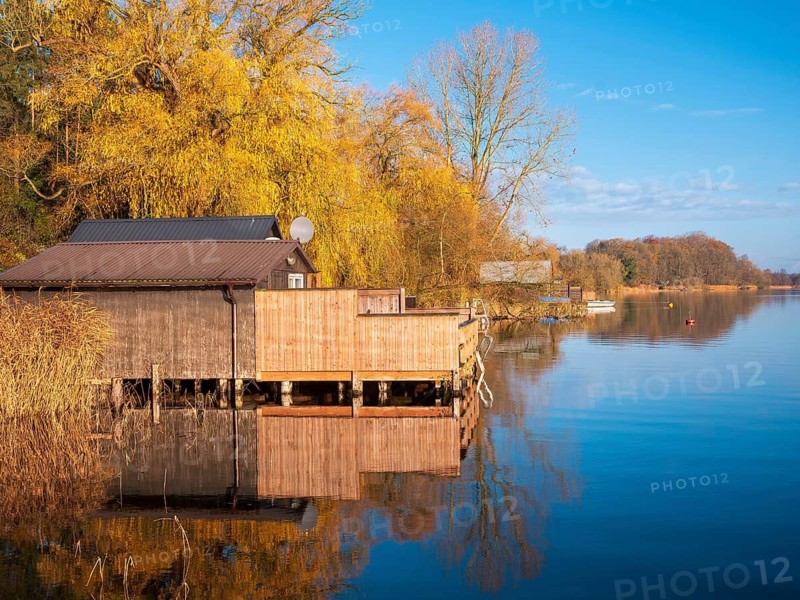 Shore with boathouses on Schaalsee in morning light, reeds and trees in autumn colors, Schaalsee Biosphere Reserve, Mecklenburg-Western Pomerania Germany