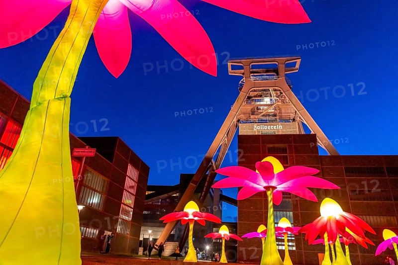Celebrations to mark the 25th anniversary of the Route of Industrial Heritage in the Ruhr region, festivals lasting several days, highlight is the Extraschicht, the long night of industrial heritage, here Illuminating flowers at the Zeche Zollverein in Essen, double trestle winding tower shaft 12, North Rhine-Westphalia, Germany