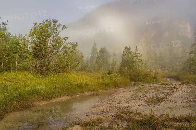 Isar valley nature conservancy area. The wild Isar river flows through its gravel bed past driftwood and entrained trees and bushes . Sunrise with dense fog showing an arc of mist, a rare weather phenomenon