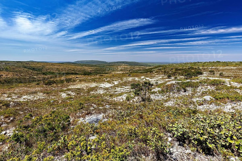Endless, barren landscape with wide skies and scattered clouds, the thornshrub savanna in the Caatinga landscape in the federal states of Pernambuco and Bahia in Brazil
