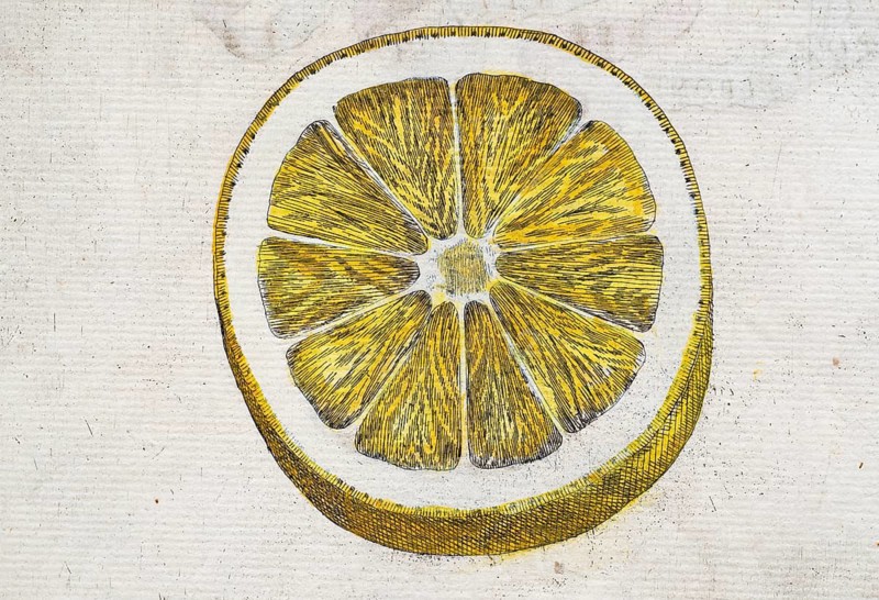 Cut, halved lemon, citrus fruit, hand-colored copper engraving from Giovanni Baptista Ferrari Hesperides, Sive, de Malorum Aureorum Cultura et Usu Libri Quatuor, Rome, 1646