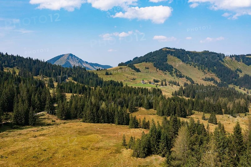 Illingeralm with view of the Pillsteinhöhe and Zwölferhorn, Osterhorn group, Salzkammergut, Salzburg province, Austria