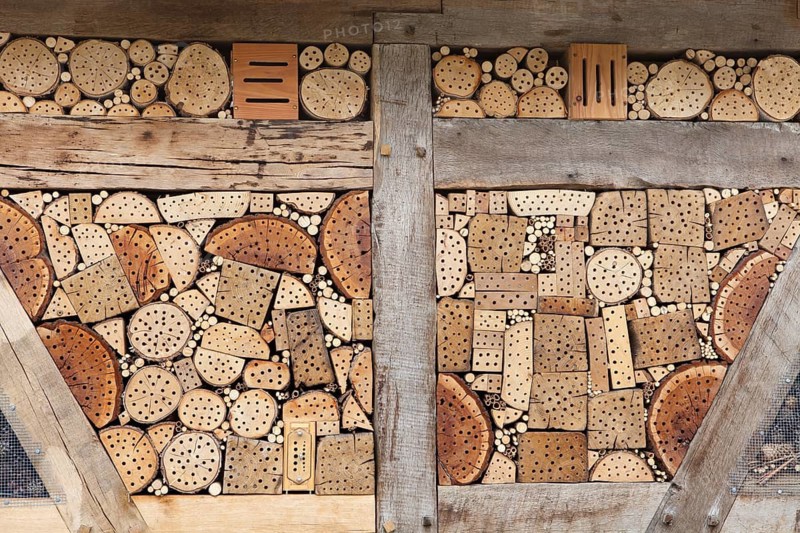 Insect asylum, insect box, an artificial help for nesting and overwintering insects