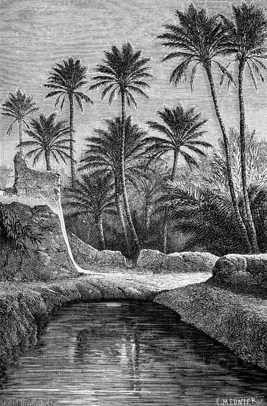 Irrigation channel of a date (Phoenix dactylifera) oasis near the town of Ouargla, Sahara oasis, dry climate, groundwater, agriculture, trade, economic good, travelling, Algeria, historical illustration 1886