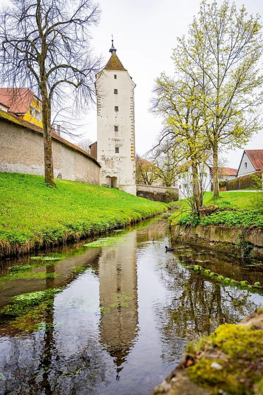 Clear moat reflecting an old tower surrounded by spring greenery, Isny, Allgäu, Bavaria, Germany