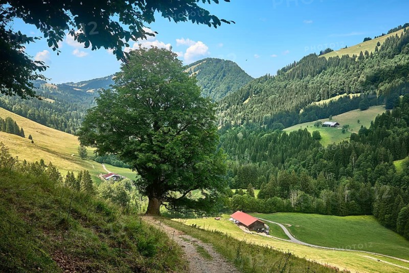 Alpine landscape in the Ehrenschwantal in the Allgäu Alps, Oberstaufen Steibis, Bavaria, Germany