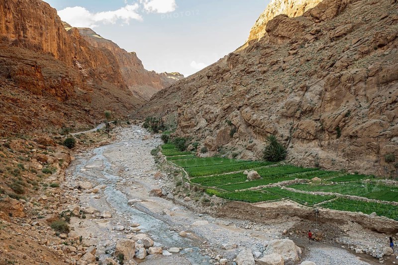 Todra Gorge, Tinghir, Drâa-Tafilalet Region, Atlas Mountains, Morocco