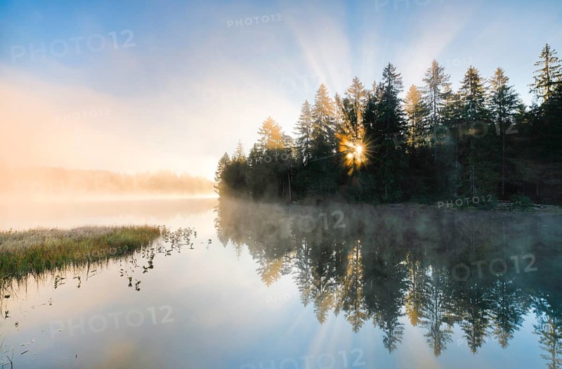 Rays of sunshine make their way through forest and fog at the mirror-smooth moorland lake Étang de la Gruère in the canton of Jura, Switzerland