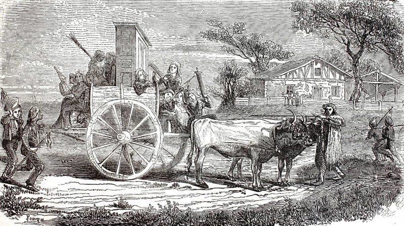 Graphic shows a traditional wedding procession in the Les Landes region of southwestern France. A two-wheeled cart pulled by oxen transports the wedding party along with a tax, including cupboard furniture. The man at the top leads the oxen team. On the left, the men wear the headgear typical of the Basque Country and Gascony, the Beret, 1880, France, illustration, reproduction from a model from the 19th century. Authentic, file restored for optimal use, exact date of submission unknown, historical