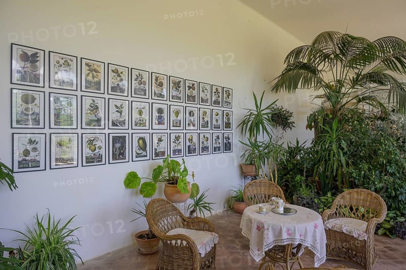 Seating group in the orangery in the castle, Milotice u Kyjova, South Moravian Region, Czech Republic
