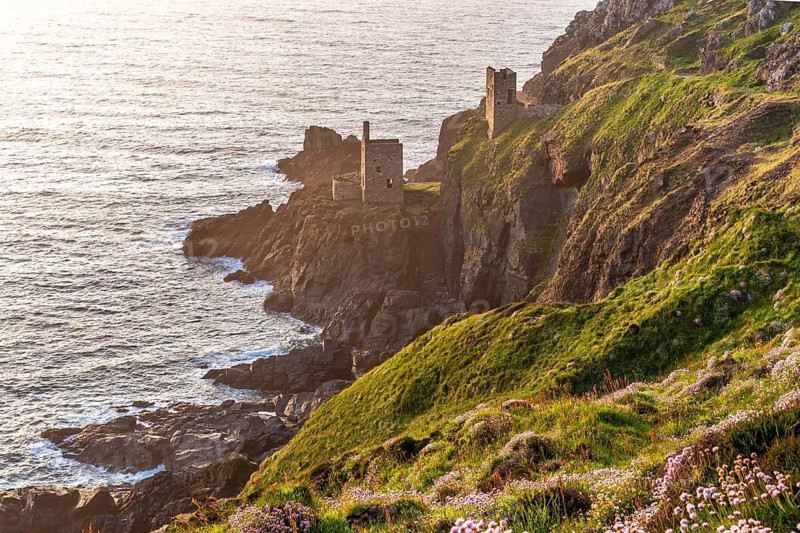 The ruins of the Crowns Engine Houses of Botallack Mine, also known as Crown Mine, on the cliffs of the Cornish coast. In the foreground, flowering sea carnations (Armeria maritima) . Evening, golden hour. Good weather, blue sky. Botallack, Penzance, Cornwall, England, Great Britain