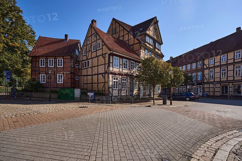Historic half-timbered houses, city trees, street of concrete paving stones, sidelight, backlight, blue cloudless sky, intersection of Kleiner Plan street with Am heiligen Kreuz, Celle, Lüneburg Heath, district of Celle, Lower Saxony, Germany