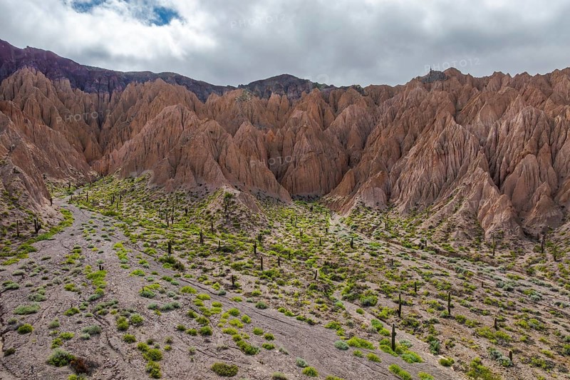 A stunning cactus landscape in Los Cardones National Park, Argentina, showcasing the unique desert terrain, vibrant vegetation, and majestic sandstone formations under a cloudy sky