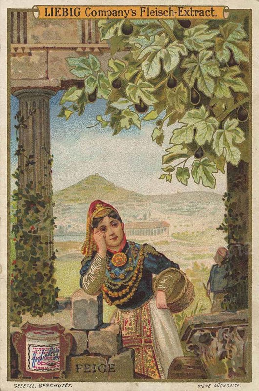 Series tropical fruits with local people, fig, Liebig picture, digitally restored reproduction of a collector's picture from ca 1900, public domain, exact date unknown, woman in traditional dress leaning against ruins, ancient city and nature in the background
