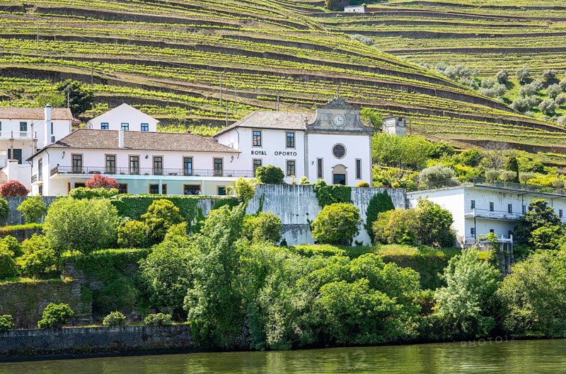 Quinta das Carvalhas, Royal Oporto Real Companhia Velha, near Pinhão, River Douro valley, Alto Douro, Portugal