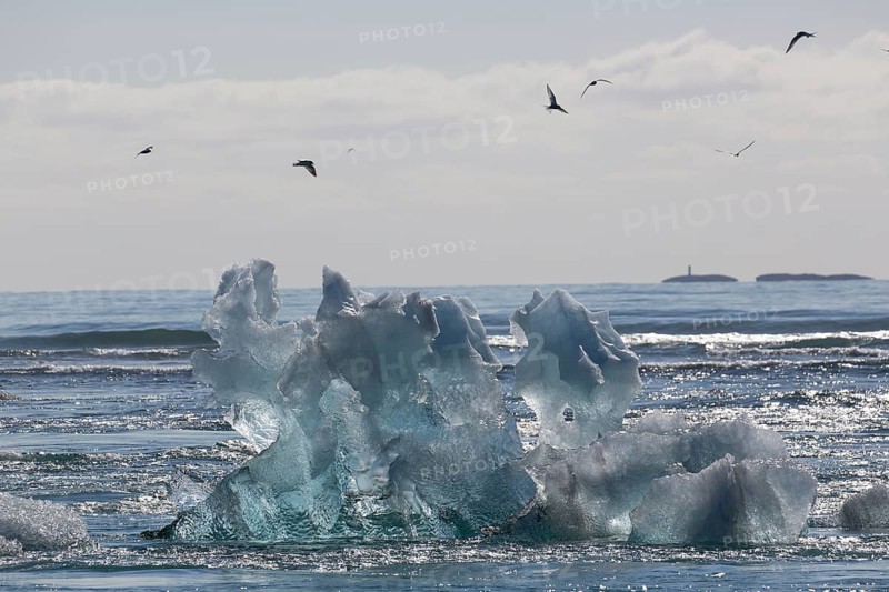 Little icebergs and crushed ice on the black beach at Joekulsarlon glacial lake