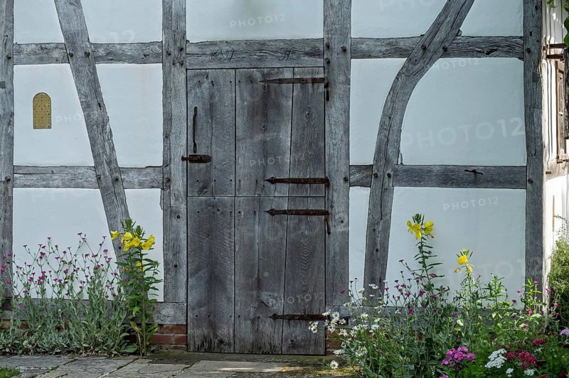 Wooden door of a half-timbered house surrounded by blooming flowers in rustic style, Germany