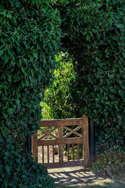 Ivy framed rustic garden gate of a private property on the island of Ven off Landskrona, Skåne, Sweden. A rustic garden gate, framed by ivy, leading to a private property on the island of Ven, off Landskrona, Scania, Sweden