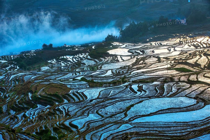Celestial Stairs — The Yuanyang Rice Terraces in Yunnan, China, carved by the Hani people over 1, 300?years, form a UNESCO-listed landscape covering about 16, 603?hectares (166?km²), stretching from roughly 140?m to 2, 940?m in elevation, with over 3, 000 terraced steps in the main scenic areas, where water, light, and tradition exist in perfect harmony between humans and nature