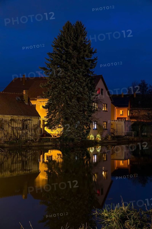In the evening illuminated house with small Christmas trees and reflection in the village pond of Bärnsdorf, Radeburg, Saxony, Germany