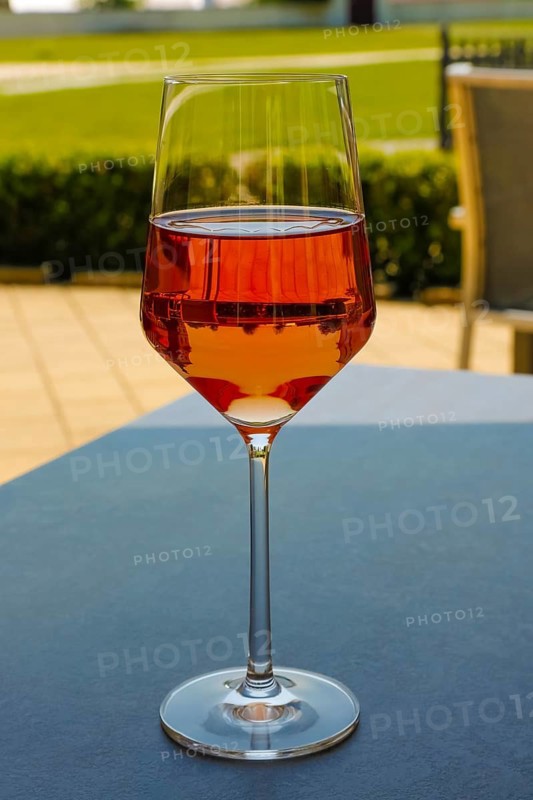 Froben Restaurant am Schloss, restaurant, gastronomy, drinking, wine glass, rose, wine, garden restaurant, Meßkirch, Baden-Württemberg, Germany