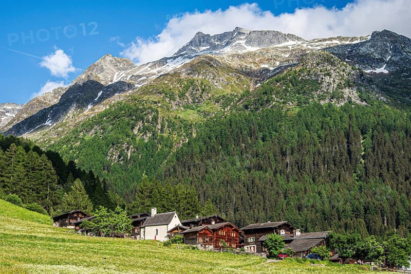Flowering meadows chapel and traditional wooden houses, village Fäld at the inner Binn valley, Switzerland