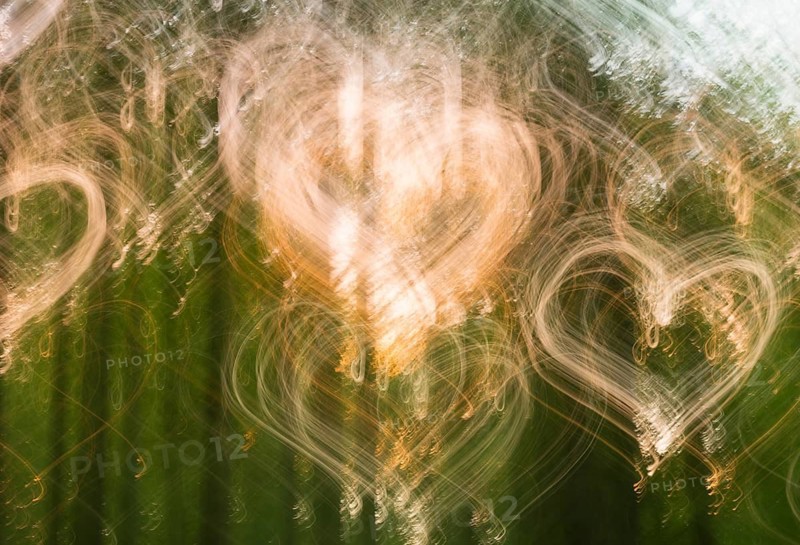 Abstract deciduous forest in spring, copper beeches (Fagus sylvatica) in May, heart-shaped wiping effect, light spots of the evening sun form hearts of light, artistic, Lower Saxony, Germany