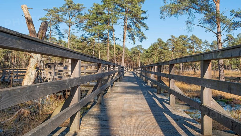 View along a moor bridge in the moor adventure trail, Otternhagener Moor, Resse, Neustadt am Rübenberge, Hanover, Lower Saxony, Germany