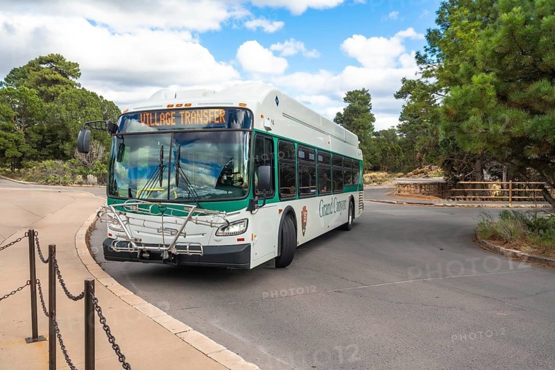 Grand canyon national park shuttle bus on a paved road through pine forest under blue sky and clouds, providing eco friendly visitor transfer and scenic park transportation