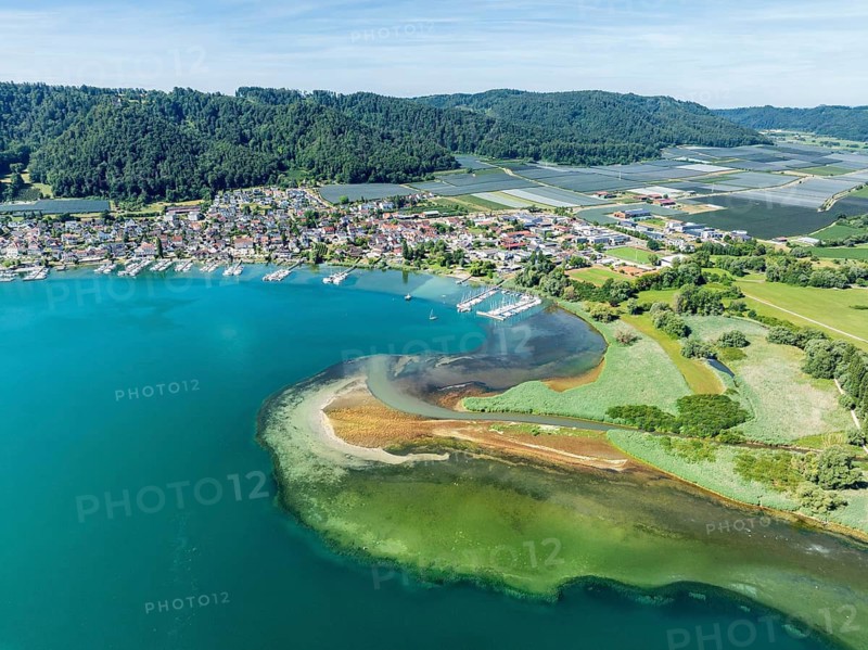 Aerial view of the mouth of the Stockacher Aach at low tide, which flows into Lake Überlingen. As a result of the deposits of the entrained suspended matter and sediments from the inflow, the riparian zone near Bodman-Ludwigshafen and Bodanrück, Lake Constance, district of Constance, Baden-Württemberg, Germany