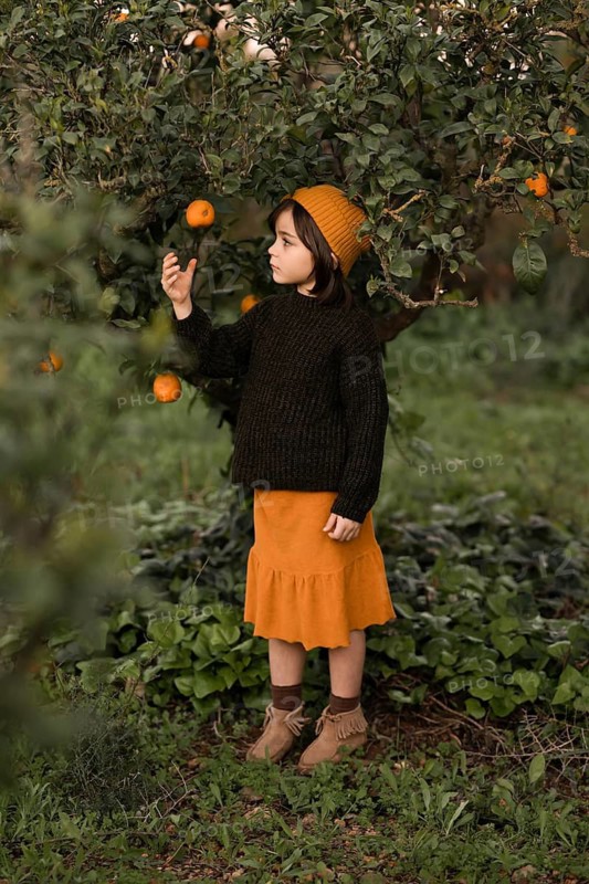 A young girl in autumn attire stands in a lush garden, reaching for orange fruits on a tree. Her outfit complements the vibrant foliage, creating a harmonious scene