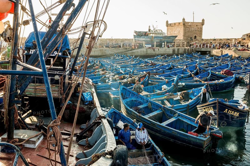 Fishing boats, fishing port, Essaouira, UNESCO World Heritage Site, Atlantic coast, Morocco