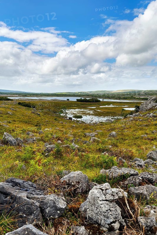 Karst landscape, lake on the horizon, Burren National Park, County Clare, Ireland