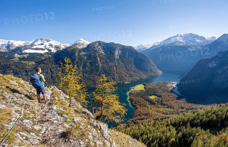 Mountaineer on an exposed mountain hiking trail, Rinnkendlsteig, view of the Königssee, autumnal forest and yellow larches with snow-covered mountains, Berchtesgaden National Park, Berchtesgadener Land, Upper Bavaria, Bavaria, Germany